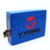 YTONG Battery Custom 24v 36V 48V 52V 60V 72V 7.8Ah to 60Ah Lithium Electric Scooter Battery Pack  250W to 2000W Motor With Charger