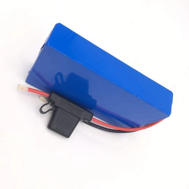 Customized Electric Bike Battery