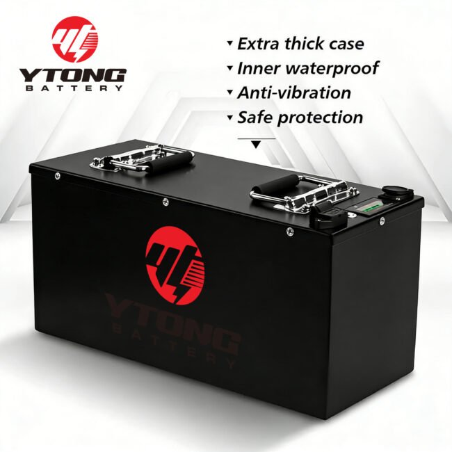 12V 24V 100Ah LiFePO4 Battery