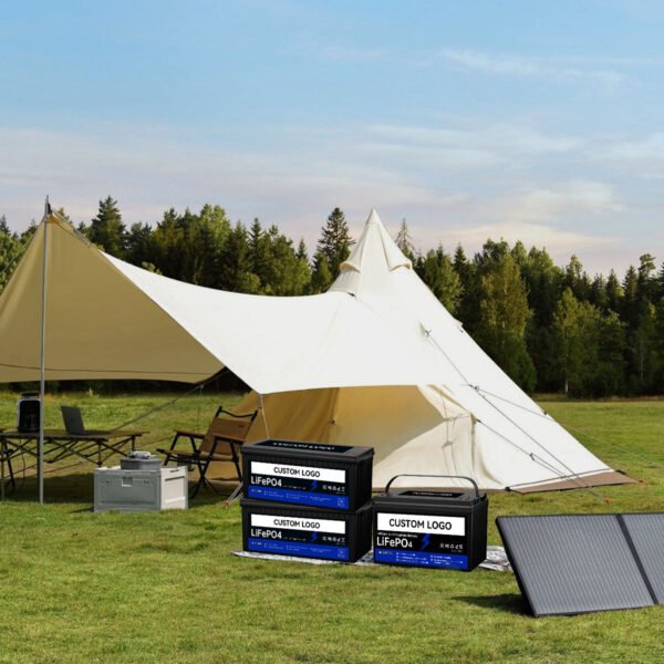 Best Selling Bluetooth BMS 48 Volt LiFePO4 Battery 24V 36V 48V 72V 72AH 100AH 200AH 300AH Golf Cart Lithium Battery With LCD Display