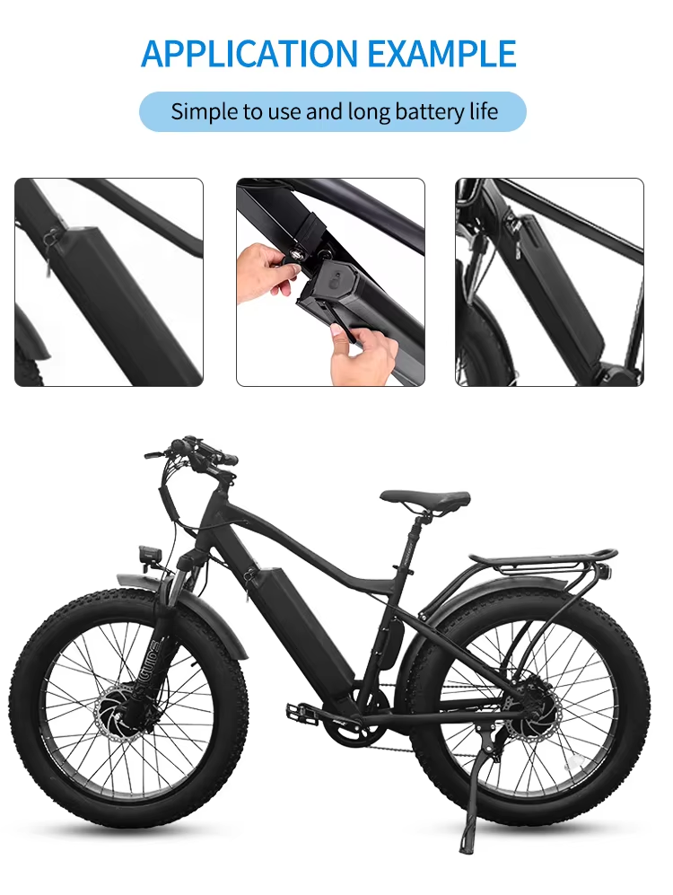 1000W Akku Ebike
