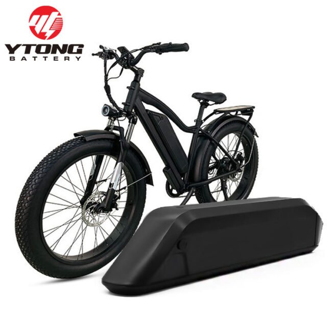 1000W Electric Bike Battery 1000W Electric Bike Battery
